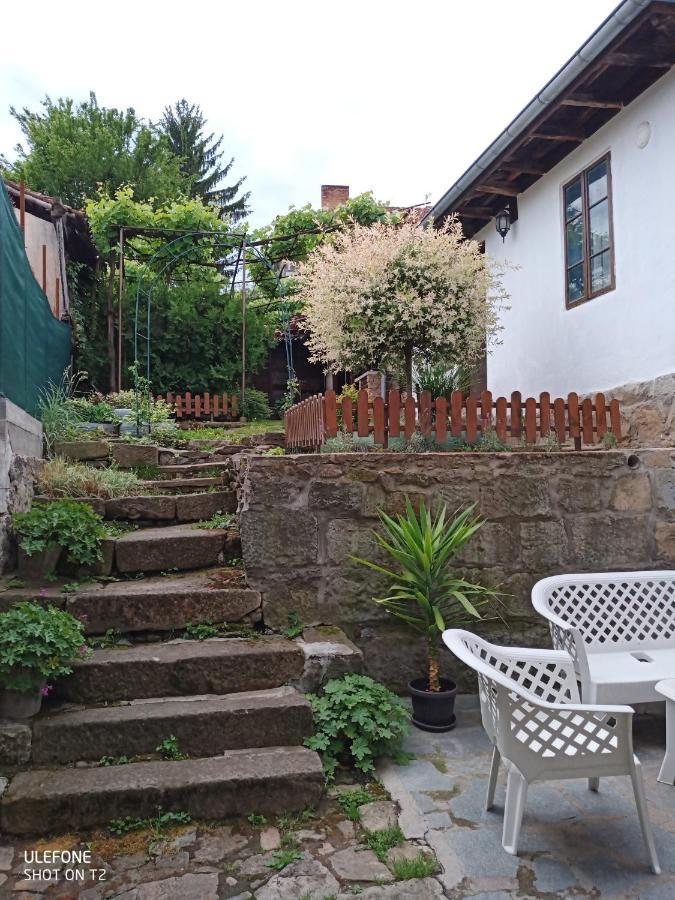 Guest House Strumena Elena Extérieur photo