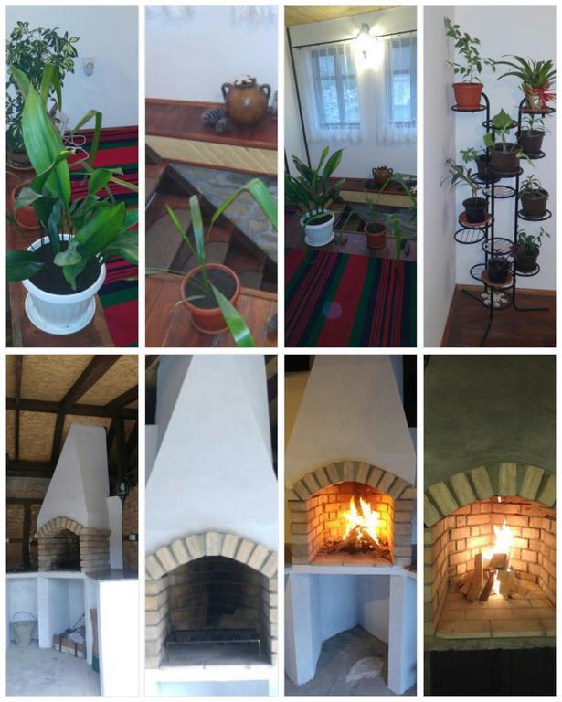 Guest House Strumena Elena Extérieur photo